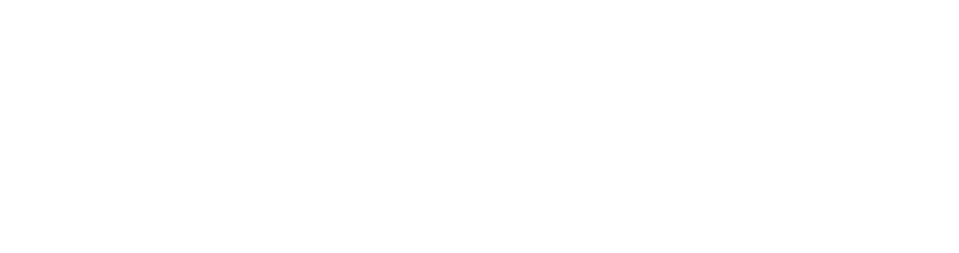 Renato Ferreira