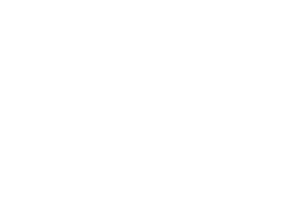 Saner